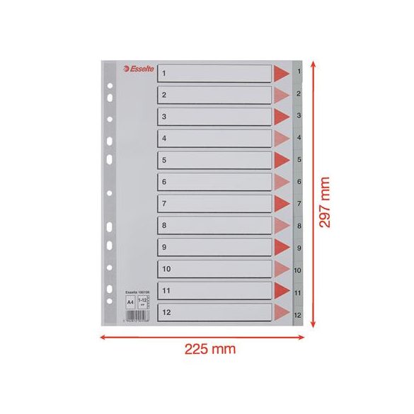 Regiszter, műanyag, A/4, 1-12, ESSELTE, szürke