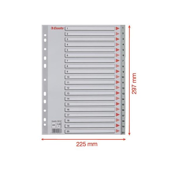 Regiszter, műanyag, A/4, 1-20, ESSELTE, szürke