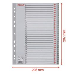 Regiszter, műanyag, A/4, 1-31, ESSELTE, szürke