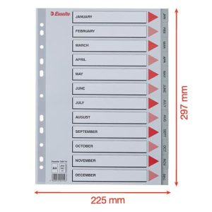 Regiszter, műanyag, A/4, Jan-Dec, ESSELTE, szürke