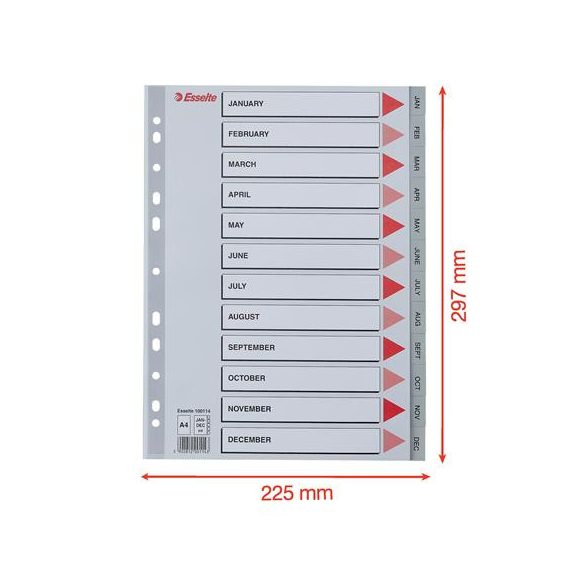 Regiszter, műanyag, A/4, Jan-Dec, ESSELTE, szürke