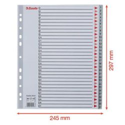 Regiszter, műanyag, A/4 Maxi, 1-31, ESSELTE, szürke
