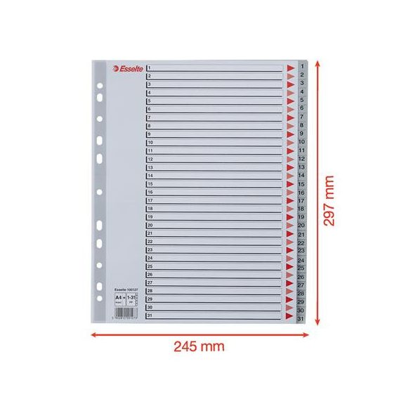Regiszter, műanyag, A/4 Maxi, 1-31, ESSELTE, szürke