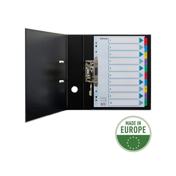 Regiszter, karton, A/4, 1-10, ESSELTE "Mylar"
