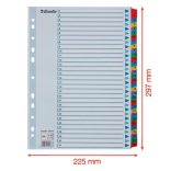 Regiszter, karton, A/4, 1-31, ESSELTE "Mylar"