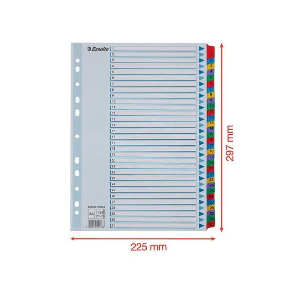 Regiszter, karton, A/4, 1-31, ESSELTE "Mylar"
