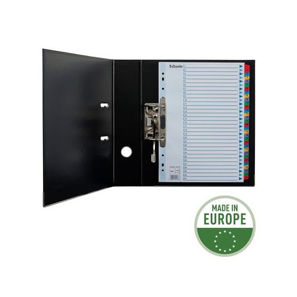 Regiszter, karton, A/4, 1-31, ESSELTE "Mylar"