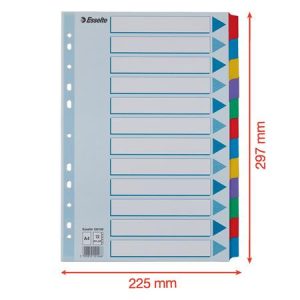 Regiszter, laminált karton, A/4, 12 részes, ESSELTE "Mylar"