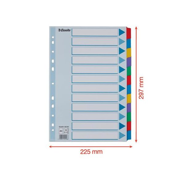 Regiszter, laminált karton, A/4, 12 részes, ESSELTE "Mylar"