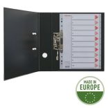 Regiszter, laminált karton, A/4, 12 részes, ESSELTE "Mylar"