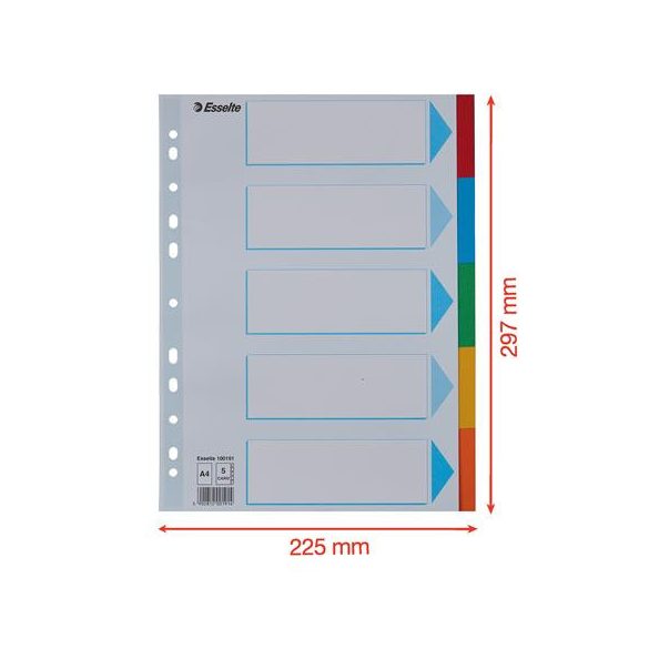 Regiszter, karton, A/4, 5 részes, írható előlappal, ESSELTE "Standard", színes 