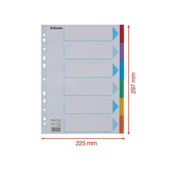 Regiszter, karton, A/4, 6 részes, írható előlappal, ESSELTE "Standard", színes 