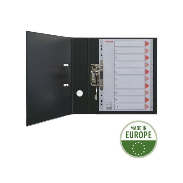 Regiszter, karton, A/4, 6 részes, írható előlappal, ESSELTE "Standard", színes 