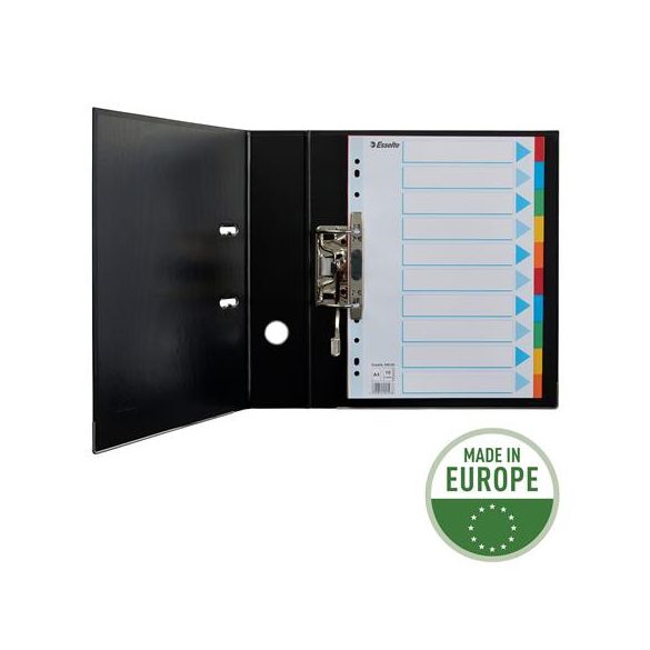 Regiszter, karton, A/4, 10 részes, írható előlappal, ESSELTE "Standard", színes 