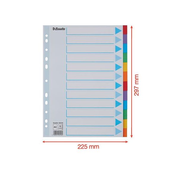 Regiszter, karton, A/4, 12 részes, írható előlappal, ESSELTE "Standard", színes 