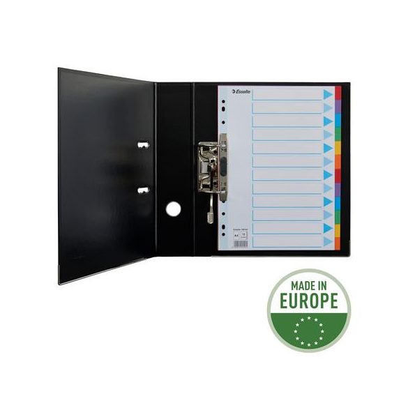 Regiszter, karton, A/4, 12 részes, írható előlappal, ESSELTE "Standard", színes 