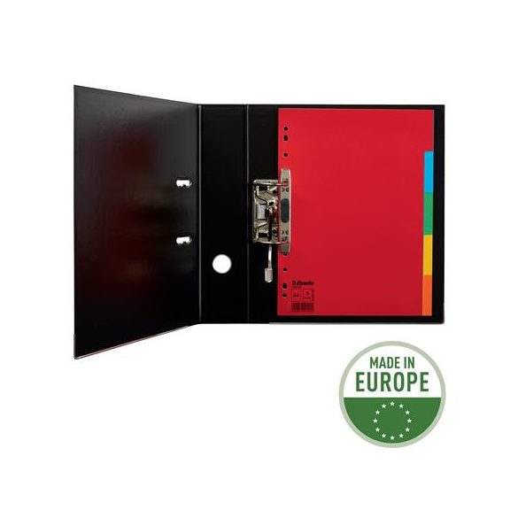 Regiszter, karton, A/4, 5 részes, ESSELTE "Economy", színes 