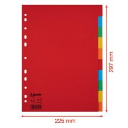   Regiszter, karton, A/4, 10 részes, ESSELTE "Economy", színes 