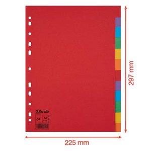 Regiszter, karton, A/4, 12 részes, ESSELTE "Economy", színes 