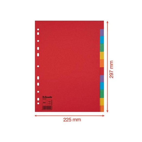 Regiszter, karton, A/4, 12 részes, ESSELTE "Economy", színes 