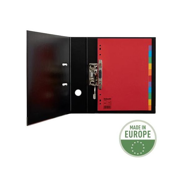 Regiszter, karton, A/4, 12 részes, ESSELTE "Economy", színes 