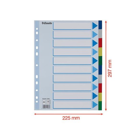 Regiszter, műanyag, A/4, 10 részes, ESSELTE