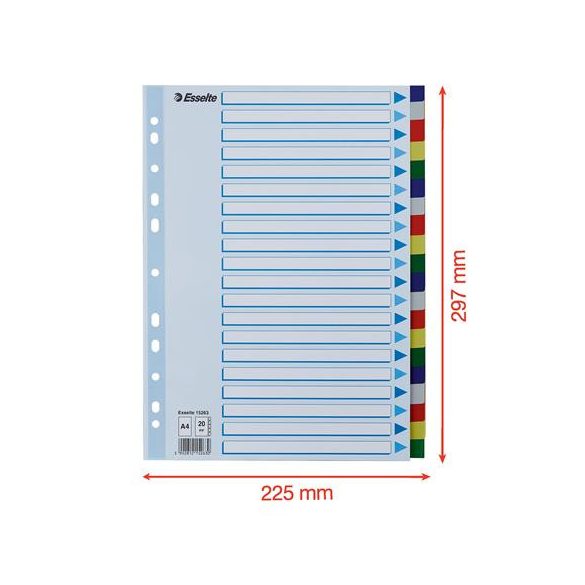 Regiszter, műanyag, A/4, 20 részes, ESSELTE