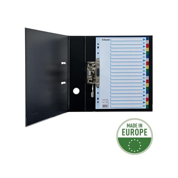 Regiszter, műanyag, A/4, 20 részes, ESSELTE