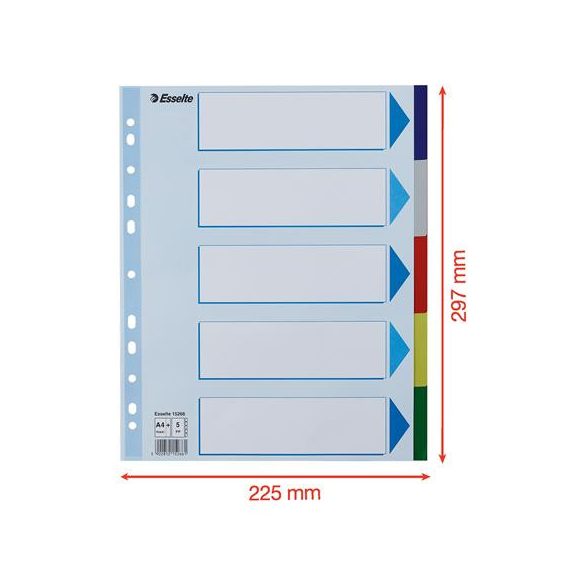 Regiszter, műanyag, A/4 Maxi, 5 részes, ESSELTE