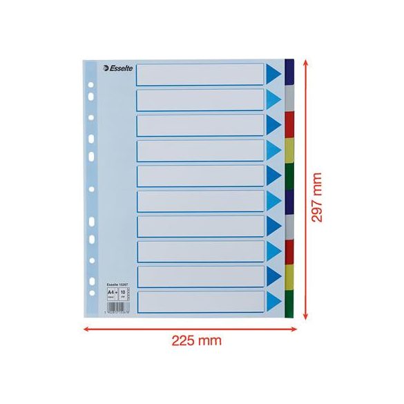 Regiszter, műanyag, A/4 Maxi, 10 részes, ESSELTE
