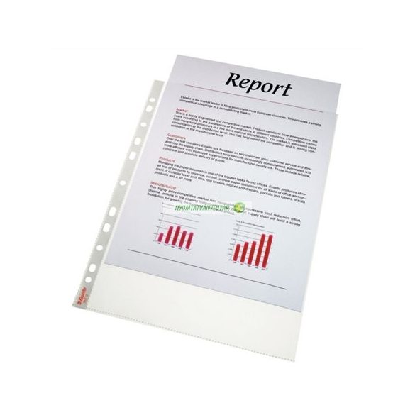 Genotherm, lefűzhető, A4, 75 mikron, víztiszta felület, ESSELTE "Luxus"