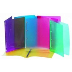   Gyűrűs dosszié, 2 gyűrű, 25 mm, A/4, PP, VIQUEL "Propyglass"