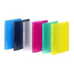   Gyűrűs könyv, 4 gyűrű, 25 mm, A4, PP, VIQUEL "Propyglass"