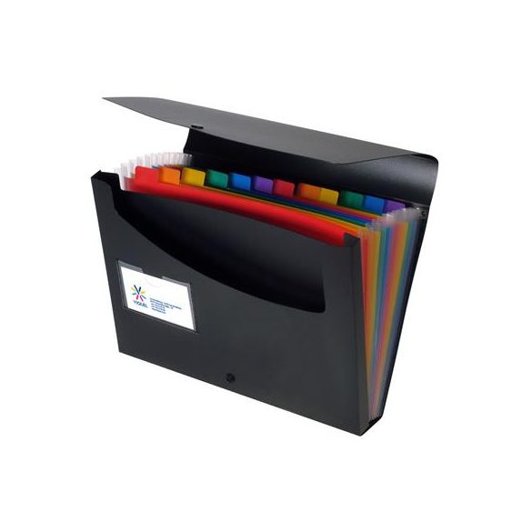 Harmonika mappa, PP, 12 rekeszes, VIQUEL "Rainbow Class", fekete