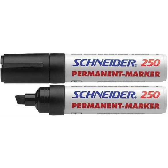 Alkoholos marker, 2-7 mm, vágott, SCHNEIDER "Maxx 250"