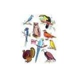 Állatvilág mintaív