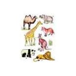 Állatvilág mintaív