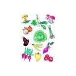 Konyhai minták mintaív