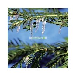 Jégcsap médium, CRE, 30 ml