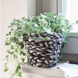 Darwi Beton levegőn száradó gyurma, 500 g - szürke