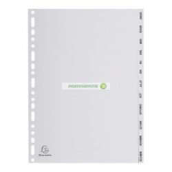 Regiszter, műanyag, A/4 Jan-Dec, Exacompta szürke