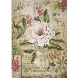 Bazsarózsa piros bogyós gyümölcsökkel