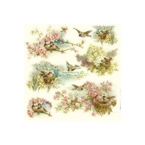 Peach Blossoms - Barackfa virágok