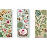 Kétoldalas papír, 15x30,5 cm, 10 db/cs, Amazónia