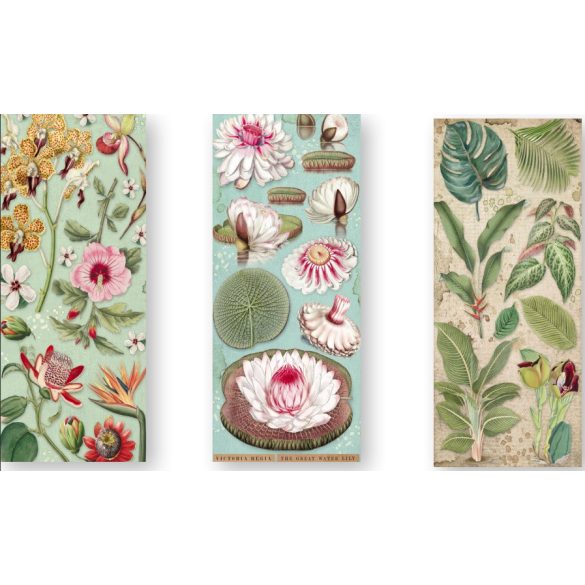 Kétoldalas papír, 15x30,5 cm, 10 db/cs, Amazónia