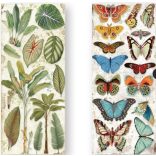 Kétoldalas papír, 15x30,5 cm, 10 db/cs, Amazónia