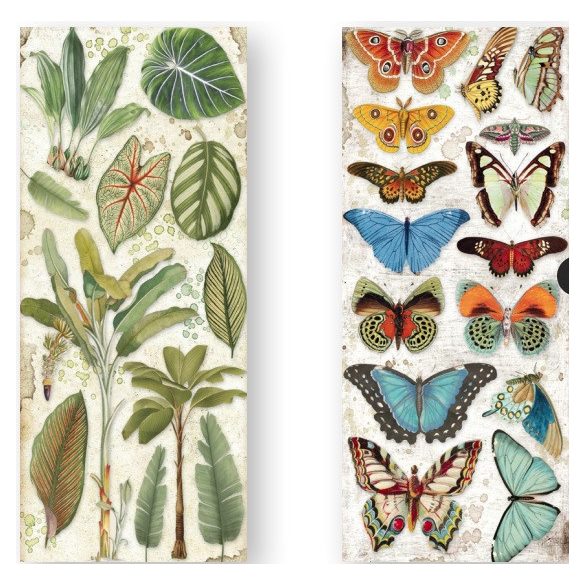 Kétoldalas papír, 15x30,5 cm, 10 db/cs, Amazónia