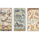 Kétoldalas papír, 15x30,5 cm, 10 db/cs, Szavanna