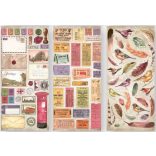 Kétoldalas papír, 15x30,5 cm, 10 db/cs, Our Way