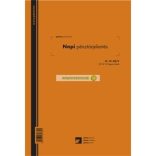 B.13-25/V Napi pénztárjelentés 25x2+2 lapos tömb A/4 álló